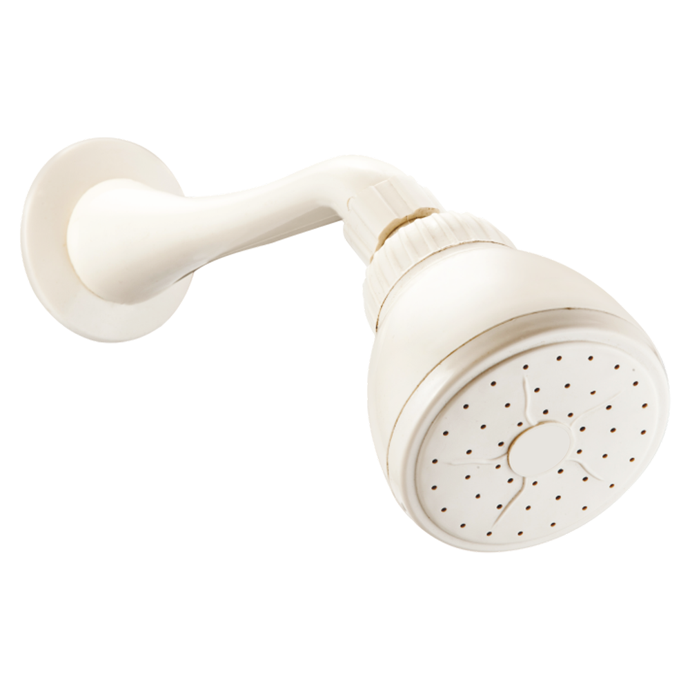 ALEX SHOWER (WITH ARM)