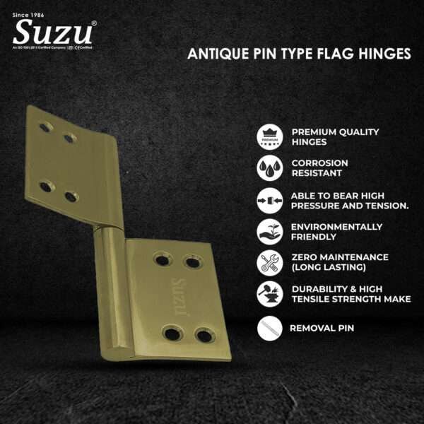 ANTIQUE PIN TYPE FLAG HINGES With Feature